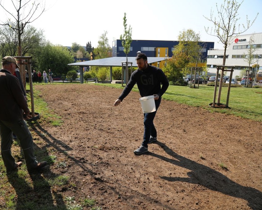 Green Outdoor Spaces – LEAR Corporation GmbH (Remscheid) | IB-Green