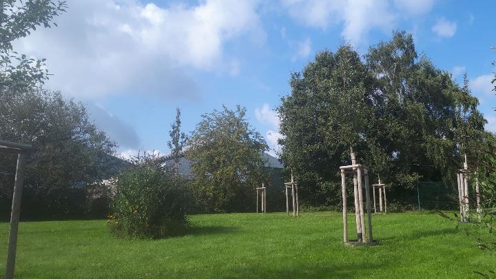Green Outdoor Spaces – LEAR Corporation GmbH (Remscheid) | IB-Green